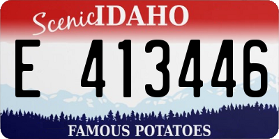 ID license plate E413446