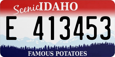 ID license plate E413453