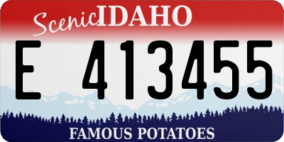 ID license plate E413455