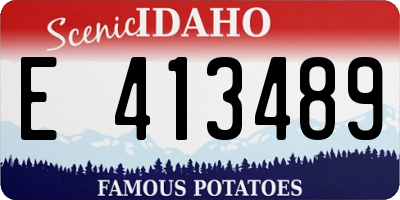 ID license plate E413489