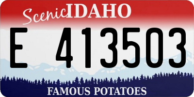 ID license plate E413503