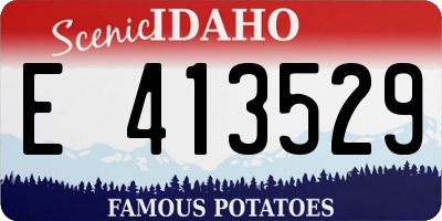 ID license plate E413529