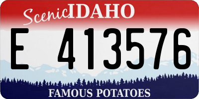 ID license plate E413576