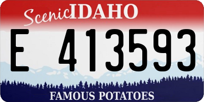ID license plate E413593