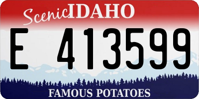 ID license plate E413599