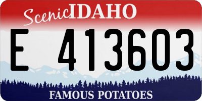 ID license plate E413603