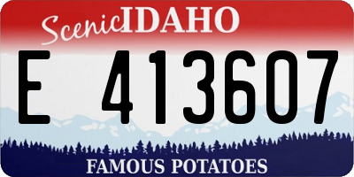 ID license plate E413607