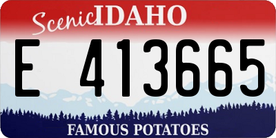 ID license plate E413665