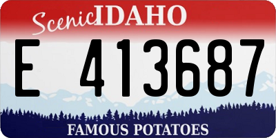 ID license plate E413687