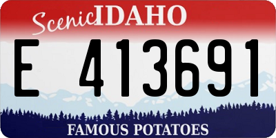 ID license plate E413691