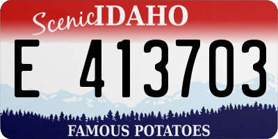 ID license plate E413703