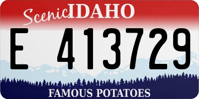 ID license plate E413729