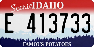 ID license plate E413733