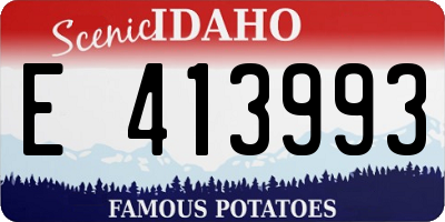 ID license plate E413993