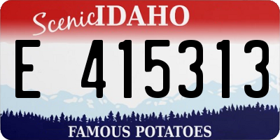 ID license plate E415313
