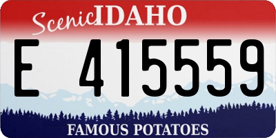 ID license plate E415559