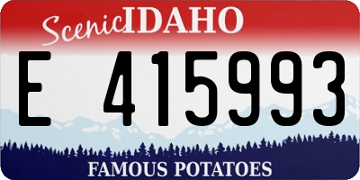 ID license plate E415993