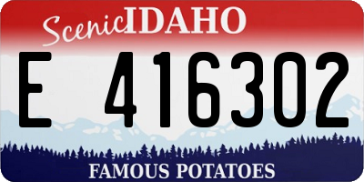 ID license plate E416302