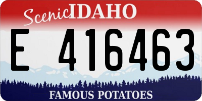 ID license plate E416463