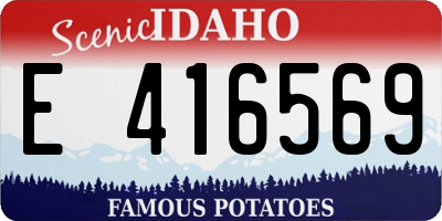 ID license plate E416569