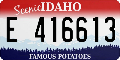ID license plate E416613