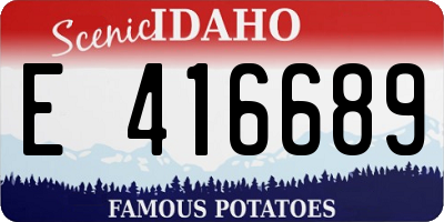 ID license plate E416689
