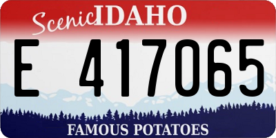 ID license plate E417065