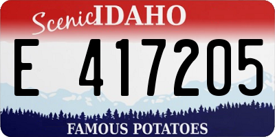 ID license plate E417205