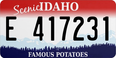 ID license plate E417231