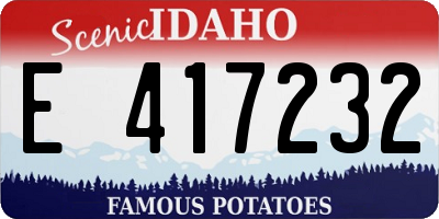 ID license plate E417232
