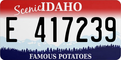 ID license plate E417239