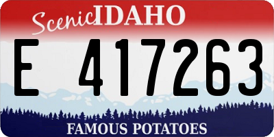 ID license plate E417263