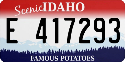 ID license plate E417293