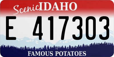 ID license plate E417303