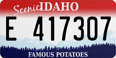 ID license plate E417307