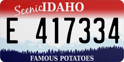 ID license plate E417334