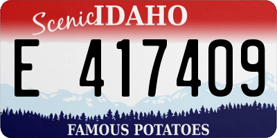 ID license plate E417409