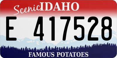 ID license plate E417528