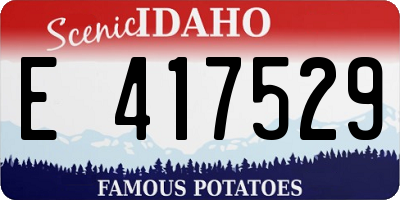 ID license plate E417529