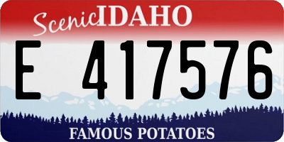ID license plate E417576