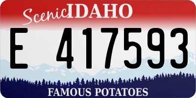 ID license plate E417593