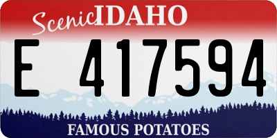 ID license plate E417594