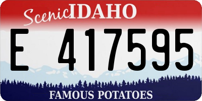 ID license plate E417595