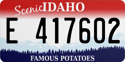 ID license plate E417602