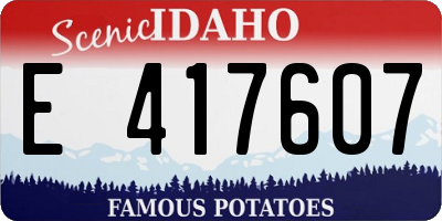 ID license plate E417607
