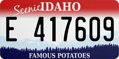 ID license plate E417609