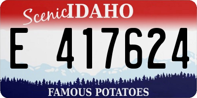 ID license plate E417624