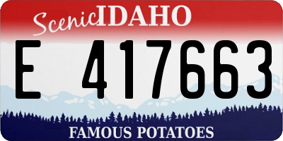 ID license plate E417663