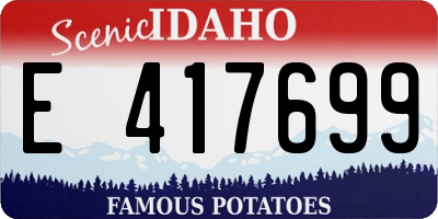 ID license plate E417699
