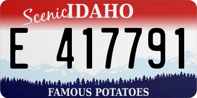 ID license plate E417791